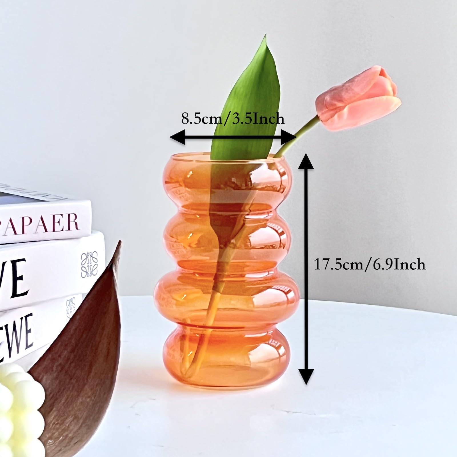 Amazon.com: BLOFLO Transparent Glass Hydroponic Flower Vase, 7